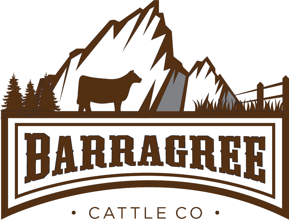 Barragree Cattle Co